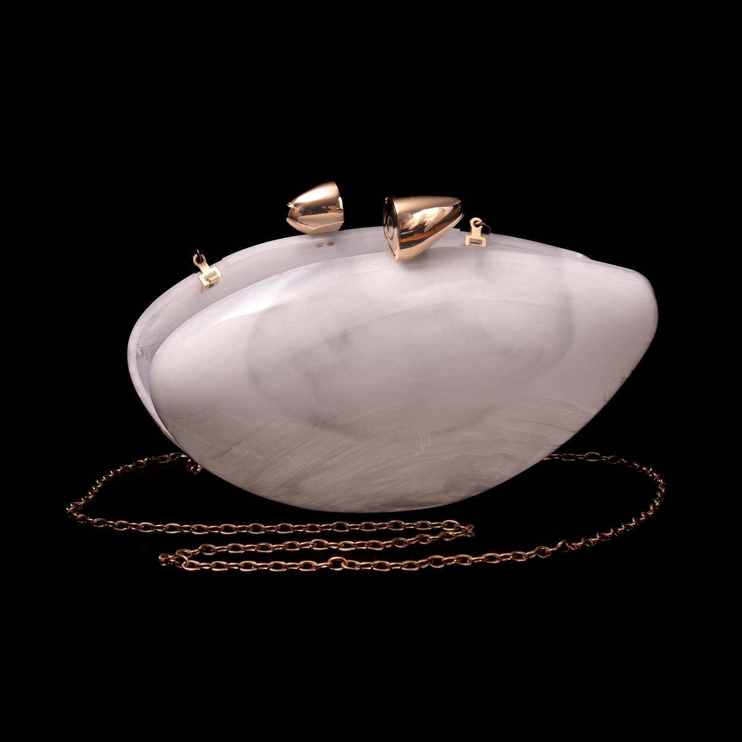 elegant acrylic clutch bag