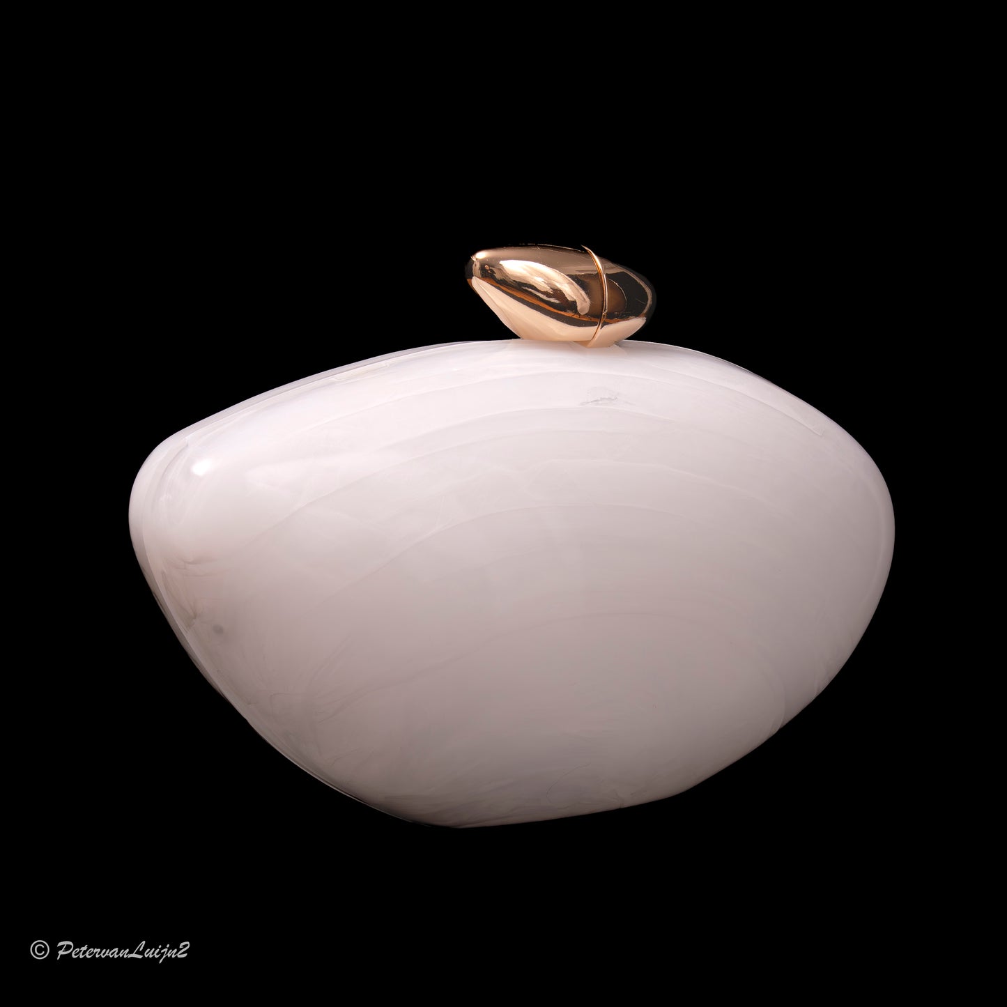 elegant acrylic clutch bag