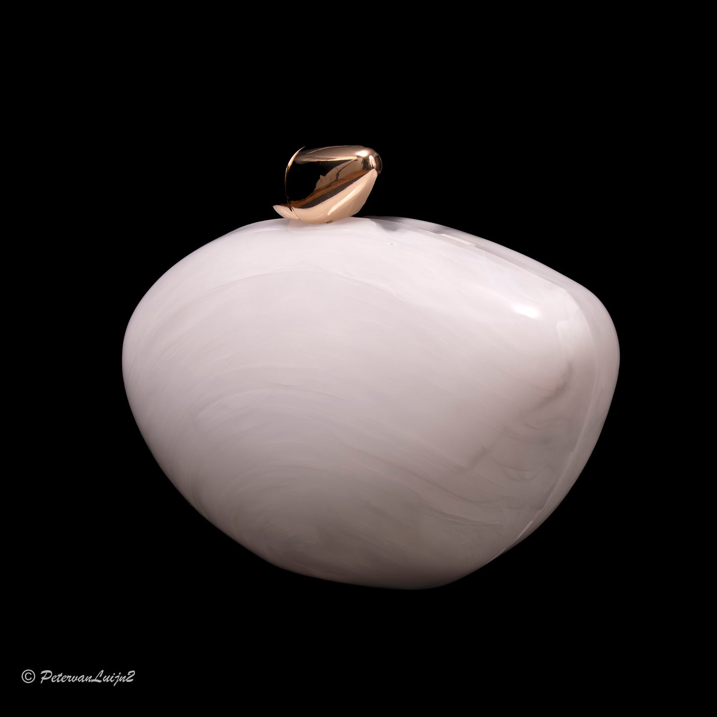 elegant acrylic clutch bag