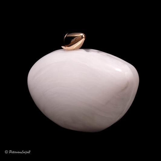 elegant acrylic clutch bag