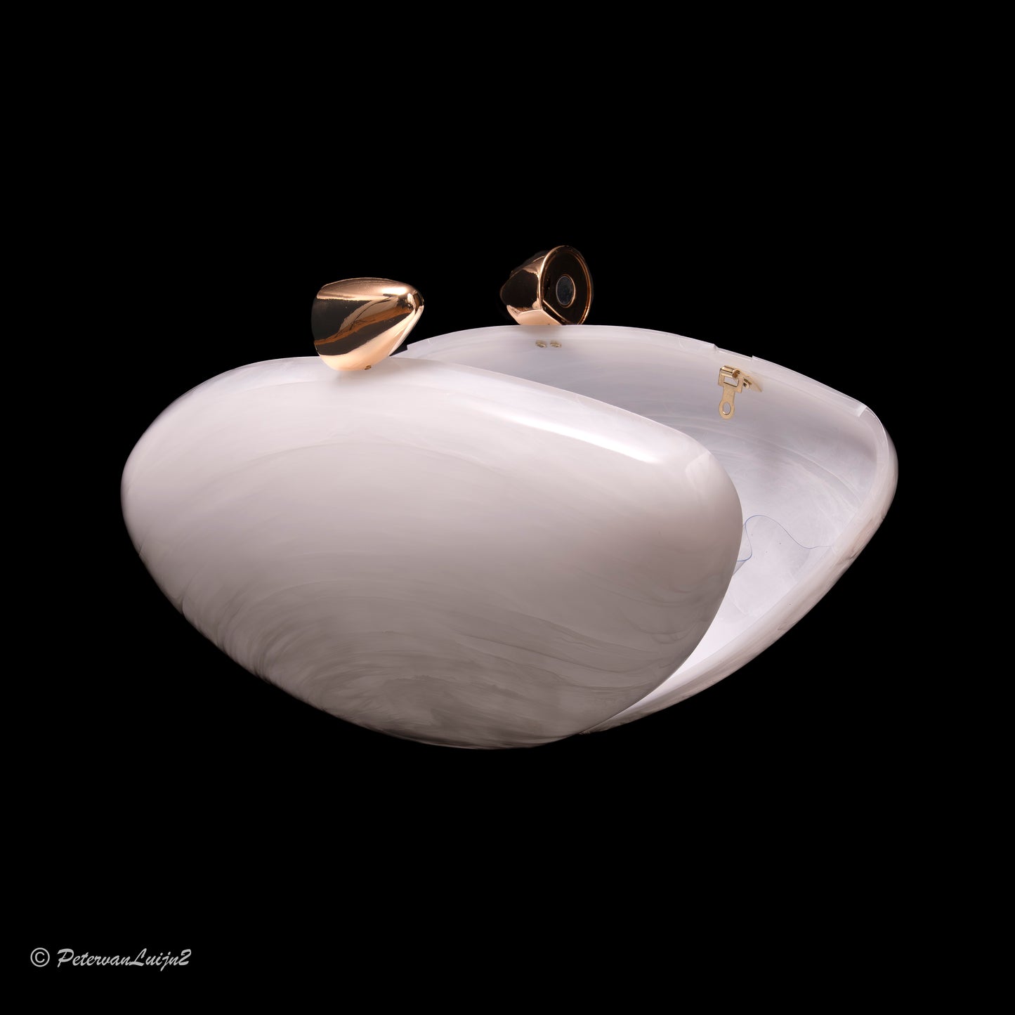 elegant acrylic clutch bag